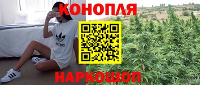 сатива Краснокаменск
