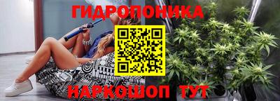 сатива Краснокаменск
