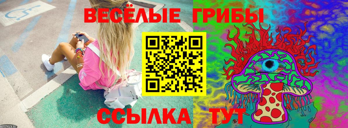 Галлюциногенные грибы Psilocybine cubensis Сокол