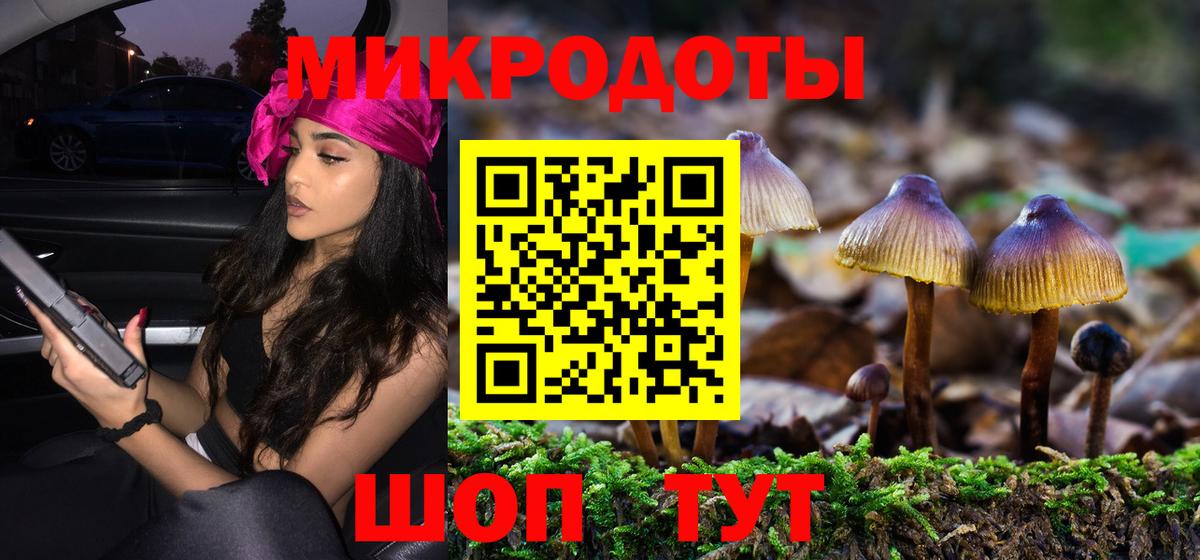 где продают   Псилоцибиновые грибы GOLDEN TEACHER  Вход с VPN  Сокол 