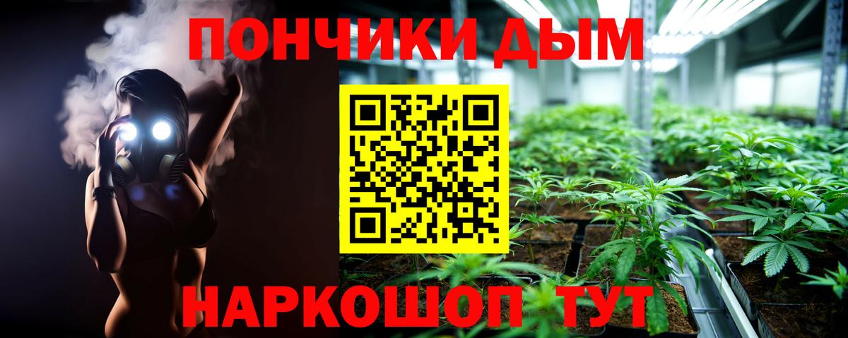 Конопля планчик Сокол